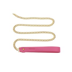 Collar and Leash