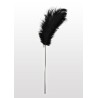 Feather Tickler