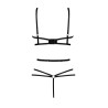 Elaris teddy