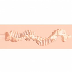 Raw - Pure Stretch - TPE Large Masturbator - 355g - Flesh