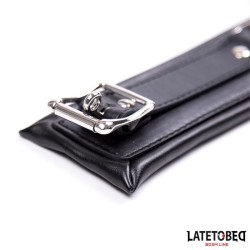 Padded Collar with Leash