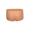 Open Vagina and Ass Brief