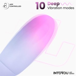 Vibrating Egg Double Layer Silicone with APP Pink/Blue