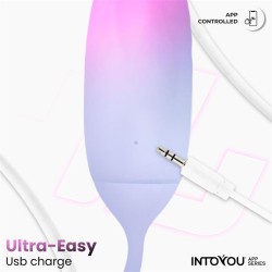 Vibrating Egg Double Layer Silicone with APP Pink/Blue