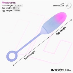 Vibrating Egg Double Layer Silicone with APP Pink/Blue