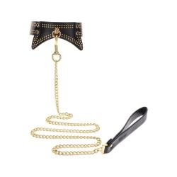 Studded Collar and Leash