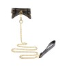 Studded Collar and Leash