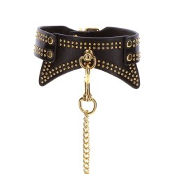 Studded Collar and Leash