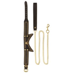 Studded Collar and Leash