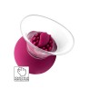 Vibrating & Rotating Nipple & Clitoral Pump