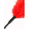 Double Feather Tickler