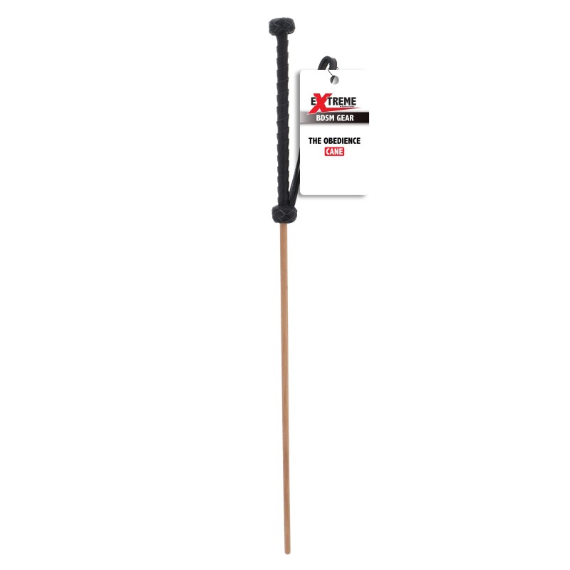 The Obedience Cane