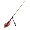 The Obedience Cane