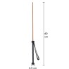 The Obedience Cane