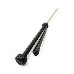 The Obedience Cane