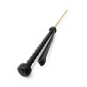 The Obedience Cane