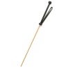 The Obedience Cane