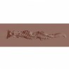 Pinup Dolls - Beauty Queen LuluaPinup Dolls - Beauty Queen Lulu Liplust - TPE Small Masturbator - 127g - Brown