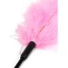 Double Feather Tickler