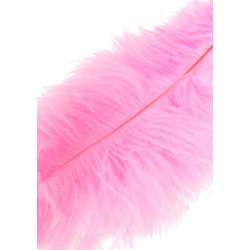 Double Feather Tickler