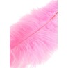 Double Feather Tickler