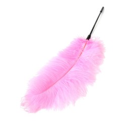 Double Feather Tickler