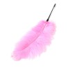 Double Feather Tickler
