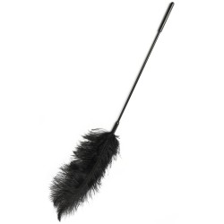 Double Feather Tickler
