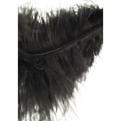 Double Feather Tickler