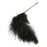 Double Feather Tickler