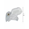 Clear Control Cock Cage Short