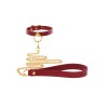 O-Ring Collar and Chain Leash