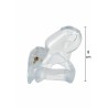 Clear Control Cock Cage Regular