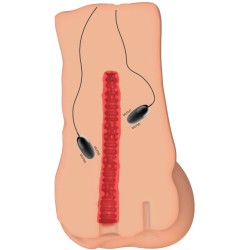 Vibrating Slut Hole Masturbator