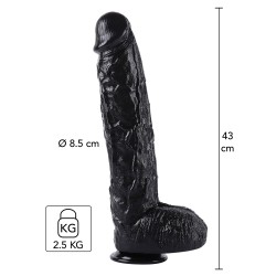 Dong 43 cm