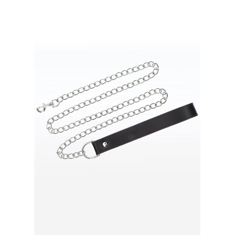 Chain Leash