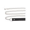 Chain Leash