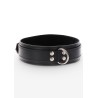 Heavy D-Ring Collar
