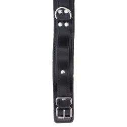 Heavy D-Ring Collar