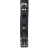 Heavy D-Ring Collar