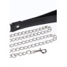 Elegant Collar and Chain Leash