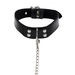 Elegant Collar and Chain Leash