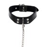Elegant Collar and Chain Leash