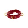 D-Ring Collar Deluxe