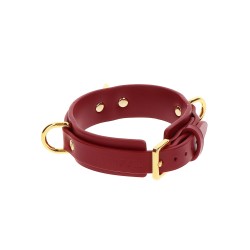 D-Ring Collar Deluxe