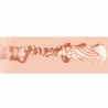 Raw - Soft Entry - TPE Medium Masturbator - 276g - Flesh