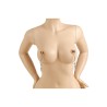 NIPPLE CLAMPS MOD. 12