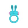 RINY VIBRATING RING W/ BLUE SILICONE USB CONTROLLER