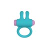 RINY VIBRATING RING W/ BLUE SILICONE USB CONTROLLER