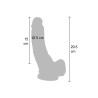 Dildo 8 inch with Balls